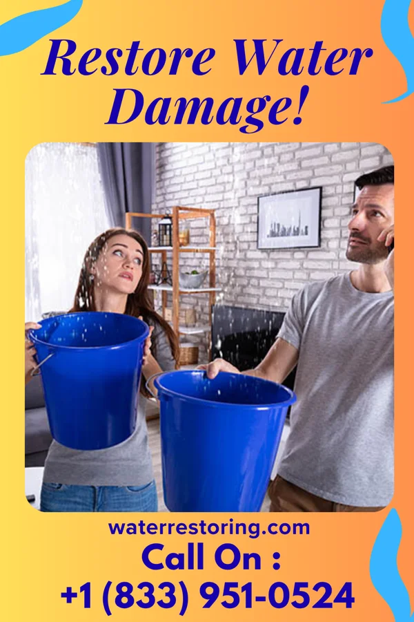 water restoration Superior Damage Restoration LLC Teresita