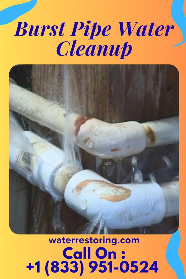 Burst Pipe Water Cleanup in Teresita, OK