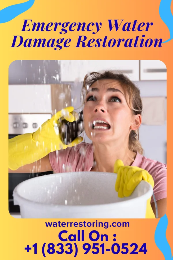 Emergency Water Damage Restoration in Teresita, OK
