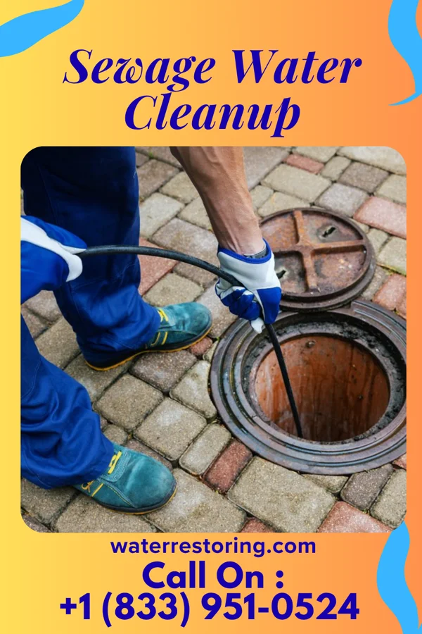 Sewage Water Cleanup in Teresita, OK